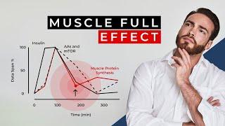 Can the body only absorb 20 g protein per meal? [Science]