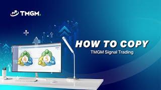 TMGM | Signal Trading | How to Copy