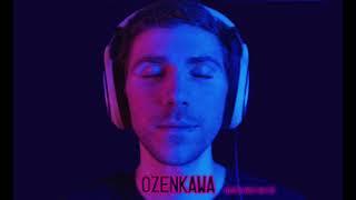 OZENKAWA | Electro-house mix