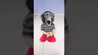 Bandar mama pahan pajama #shorts #viral #bandar #monkey