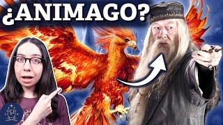 ¿Era Albus Dumbledore un ANIMAGO? | Teoría de Harry Potter