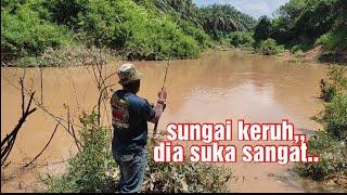 Mancing sungai..saat air keruh dan surut macam ni ikan lapar sangat,,