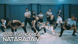 나타라자V ( Nataraja-V ) : Gangdrea Choreography