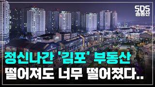 미쳐버린 "김포" 아파트│떨어질대로 떨어진 집값│하락률 top7