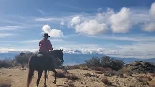 Panorama Loop