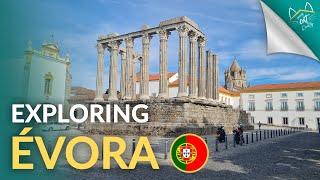 Évora Essentials: Everything Expats Need to Know | Cool Cat Portugal