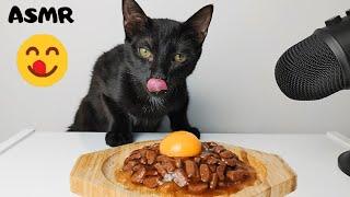 Cat eating Egg Yolk & Wet food ASMR