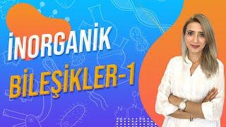 (3.DERS) İNORGANİK BİLEŞİKLER -1 | TYT 9.SINIF l Seda Hoca Biyoloji 