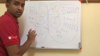 E S B I Cashflow Quadrant Explained