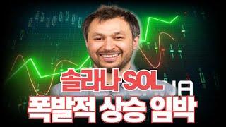 솔라나 SOL 폭발적 상승 임박