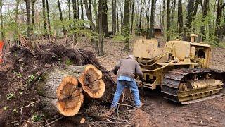 Working the Caterpillar RD6 at FULL LOAD - Can it Move This Big Stump? Let's Find Out!