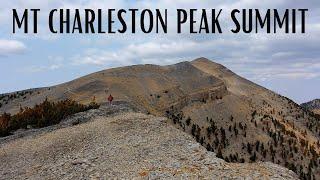 MT CHARLESTON PEAK SUMMIT