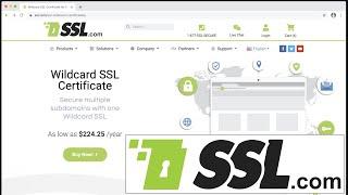 Wildcard SSL Certificates