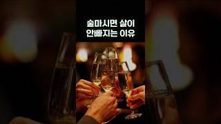 다이어트 중 술마시면 살 안빠지는 이유(+해결법)