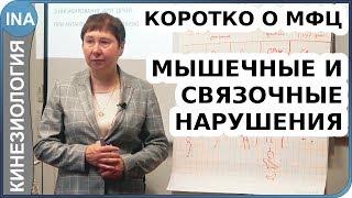 Мышечные и связочные нарушения. Коротко о МФЦ. Кинезиология Васильева