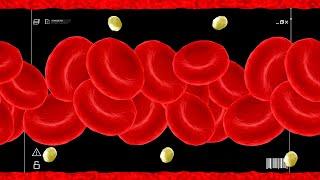 Сколько на самом деле групп крови? Как устроена и работает кровеносная система