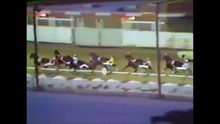 1980 Sportsman's Park CHILDEWOOD HANOVER-TRICKY DICK N