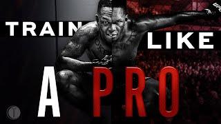How to Structure your MMA Training like a PRO (Even if you're a Beginner)