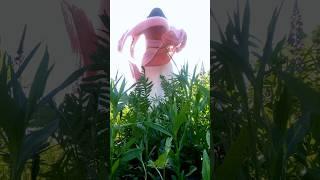 Кардиган из мохера #air #харисовна