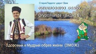 Видео5. Заработок на CryptoHands. Фрагменты вебинара от Ирины Пальминой.
