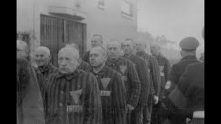 KZ–Sachsenhausen - ein KZ in Deutschland