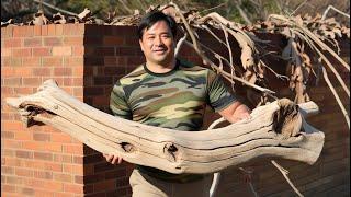 Talented Woodworker: Using a Uniquely Curved Branch to Create a Striking Focal Point for the Table