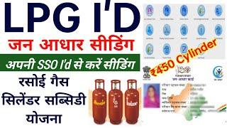 एलपीजी आईडी जनआधार सीडिंग | Lpg id janaadhar seeding for rasoi gas cylinder subsidy Yojana ₹450