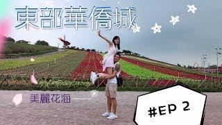 二傻大鬧深圳東部華僑城 # EP2｜行到腳軟都要去的花海｜20180910