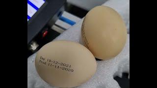 Egg Portable Printer