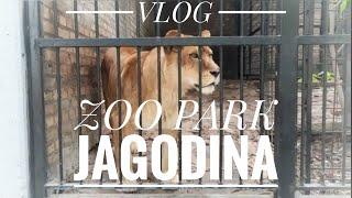 Zoo park Jagodina VLOG 1 deo#zoopark