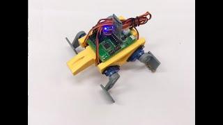 3D Printed Ez Robot STEM Kit - Tortobot