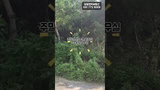 토지208평과14평소형주택 #양평주말주택 #양평농막형주택 #양평작은사무실