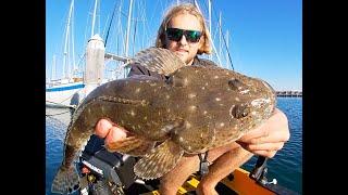 Kayak Fishing The Geelong Waterfront With Soft Plastics (Fishing ep30)