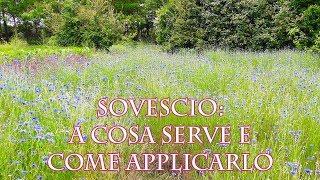 il sovescio: a cosa serve e come applicarlo.