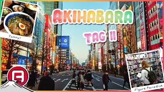 PURER SHOPPINGWAHN! Unser Lieblingsladen in Akihabara | Japan Vlog