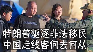 特朗普即将发动美国历史上规模最大的非法移民驱逐行动，直接影响到中国10万走线客的命运，他们是否将经历惊魂之夜？网红天哥或不用担心。盘点经济账和可能的人道主义诉求，驱逐行动方向清晰，但存在诸多变数。