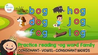 -OG Word Family | PRACTICE READING CVC WORDS | Learn How To Read | Reading 3-Letter Words