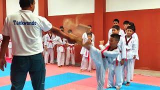 The Player is Breaking The Board With Their Favorite Kick || Taekwondo