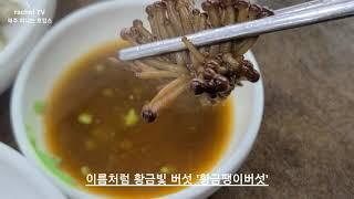 [무주반딧불축제][rachelTV-트래블슈팅]무주맛집/무주 맛집 추천/무주여행/덕유산 맛집/무주 구천동 맛집/무주 가볼만한 곳/무주 브이로그전북 무주여행전북 무주맛집능이버섯전골 맛