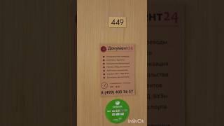 Как быстро найти Документ24 и оформить апостиль без очередей? Пошаговый маршрут