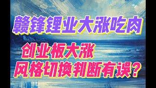 11月19日 - 赣锋锂业大涨吃肉，创业板大涨，风格切换判断有误？