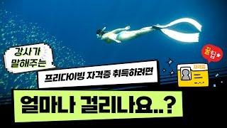 프리다이빙 자격증 따려면 얼마나 걸릴까?! 강사가 직접 말해줄게