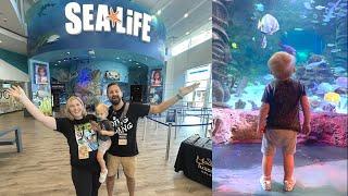 His First Time At The Aquarium & SEA LIFE Orlando Halloween Fun! Pirates, Candy & Fun Facts!