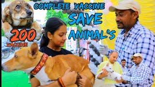 200 Dog Ka Hua Free vaccination || #shortstory || #dogvaccination || #adityadogpoint #petlover