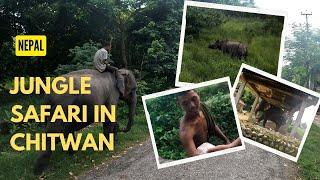 !!!BE AWARE!!! HOW THEY MISTREAT ELEPHANTS in Chitwan, Nepal