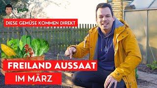 Freiland Aussaat März - Alle Gemüse für die März Aussaat