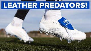 These LEATHER Predators are glorious - BUT should you buy them?