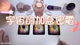 ️塔羅占卜|[字幕]傳遞訊息：宇宙的加急密電(Timeless)