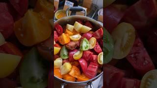 Preserving heirloom tomato sauce 8.22.24 #OhioZone6b #garden #canning #homesteading