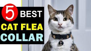 Best Cat Flea Collar 2024  Top 5 Best Cat Flea Collar Reviews